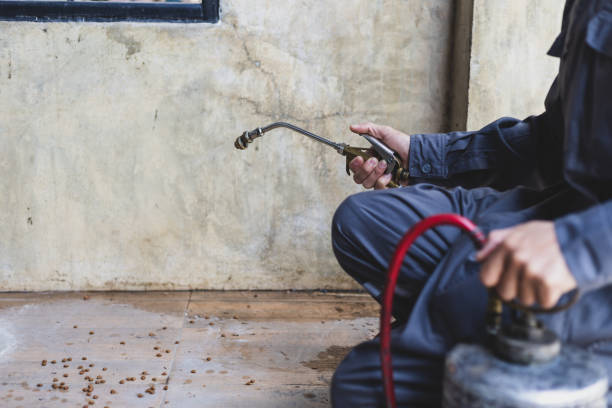 Best Pest Prevention Services  in West Kittanning, PA